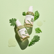 Round Lab Mugwort Calming Serum (Заспокійлива концентрована сироватка), 50 мл 8809738593103 фото 3