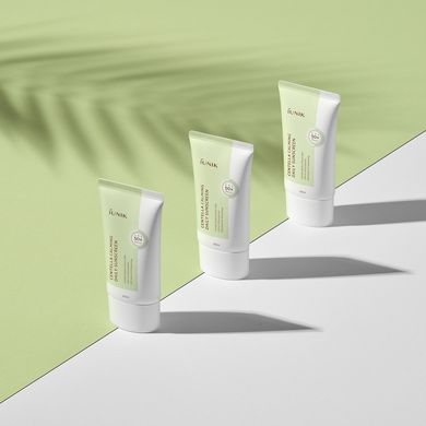 Iunik Centella Calming Daily Moisture Suncreen SPF 50 (Cонцезахисний крем з екстрактом центели), 60 мл 8809728080637 фото