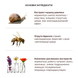 Benton Snail Bee High Content Steam Cream (Крем з муцином равлика і бджолиною отрутою), 50 г 8809540510176 фото 2