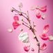 Victoria's Secret Pink Dream Girl Shimmer Mist (Парфумований спрей для тіла), 250 мл